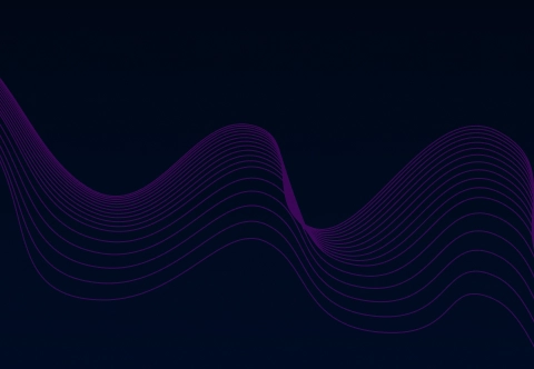 Software de garantía